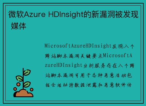 微软Azure HDInsight的新漏洞被发现 媒体